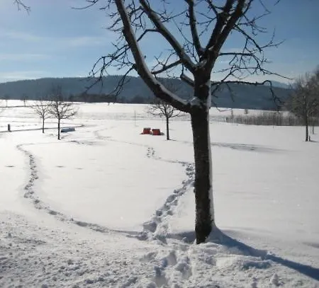 Haus An Der Therme Appartement *